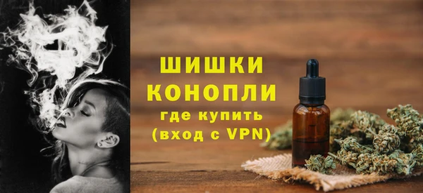 ECSTASY Богородск
