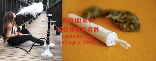 твердый Сясьстрой