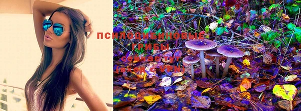 прущая мука Беломорск