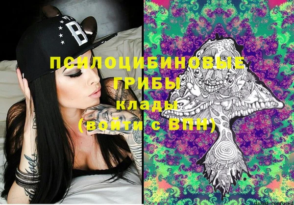 марки lsd Белокуриха