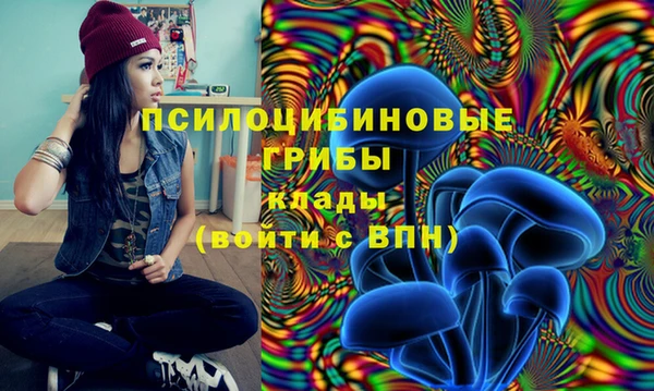 марки lsd Белокуриха